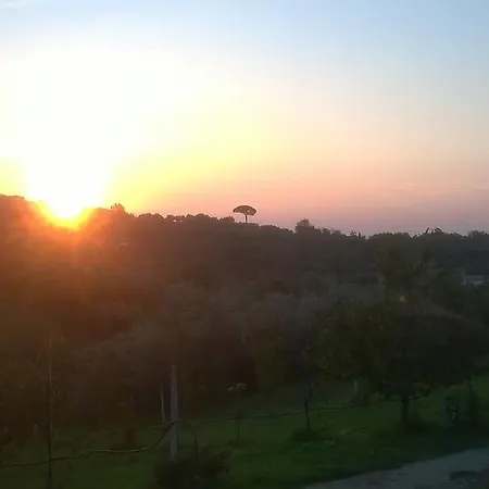 L'oro Rosso